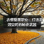 衣橱整理职业:打造高效空间的秘密武器(图3) 衣橱整理职业:打造高效空间的秘密武器(图3)