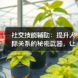 社交技能辅助：提升人际关系的秘密武器，让你变得更加自信