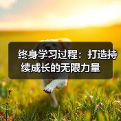 终身学习过程:打造持续成长的无限力量(图4) 终身学习过程:打造持续成长的无限力量(图4)