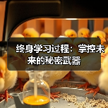 终身学习过程:掌控未来的秘密武器(图3) 终身学习过程:掌控未来的秘密武器(图3)