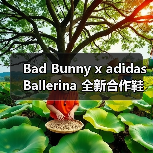 Bad Bunny x adidas Ballerina 全新合作鞋款确认发售（图3）