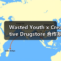 Wasted Youth x Creative Drugstore 合作系列发售在即?(图4) Wasted Youth x Creative Drugstore 合作系列发售在即?(图4)