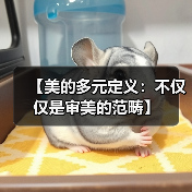 【美的多元定义：不仅仅是审美的范畴】