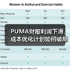 PUMA财报利润下滑,成本优化计划如何破局?(图3) PUMA财报利润下滑,成本优化计划如何破局?(图3)