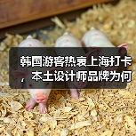 韩国游客热衷上海打卡,本土设计师品牌为何成新宠?(图2) 韩国游客热衷上海打卡,本土设计师品牌为何成新宠?(图2)