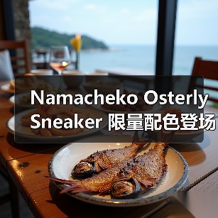 Namacheko Osterly Sneaker 限量配色登场 限量设计如何定义潮流?(图2) Namacheko Osterly Sneaker 限量配色登场 限量设计如何定义潮流?(图2)