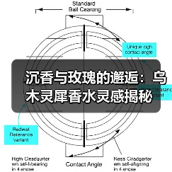 沉香与玫瑰的邂逅:乌木灵犀香水灵感揭秘(图3) 沉香与玫瑰的邂逅:乌木灵犀香水灵感揭秘(图3)