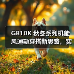 GR10K 秋冬系列机能风通勤穿搭新思路，实用细节全解析（图2）