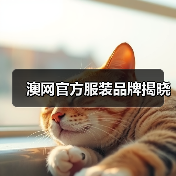 澳网官方服装品牌揭晓（图4）