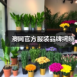 澳网官方服装品牌揭晓（图3）