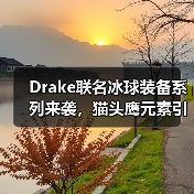 Drake联名冰球装备系列来袭，猫头鹰元素引领潮流（图2）