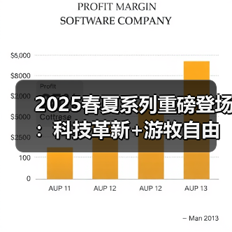 2025春夏系列重磅登场:科技革新+游牧自由多功能鞋款引领潮流(图4) 2025春夏系列重磅登场:科技革新+游牧自由多功能鞋款引领潮流(图4)