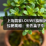 上海首家LOEWE旗舰店惊艳亮相:金色盒子引领艺术设计新潮流(图1) 上海首家LOEWE旗舰店惊艳亮相:金色盒子引领艺术设计新潮流(图1)