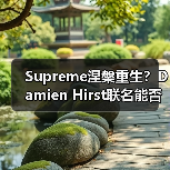 Supreme涅槃重生?Damien Hirst联名能否重振街头霸主地位?(图4) Supreme涅槃重生?Damien Hirst联名能否重振街头霸主地位?(图4)