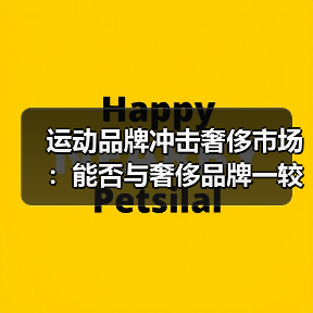 运动品牌冲击奢侈市场:能否与奢侈品牌一较高下?(图4) 运动品牌冲击奢侈市场:能否与奢侈品牌一较高下?(图4)