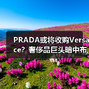 PRADA或将收购Versace?奢侈品巨头暗中布局(图4) PRADA或将收购Versace?奢侈品巨头暗中布局(图4)