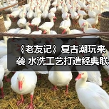《老友记》复古潮玩来袭 水洗工艺打造经典联动系列(图4) 《老友记》复古潮玩来袭 水洗工艺打造经典联动系列(图4)