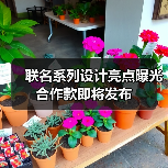 联名系列设计亮点曝光 合作款即将发布(图1) 联名系列设计亮点曝光 合作款即将发布(图1)