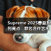 Supreme 2025春夏系列亮点：联名合作艺术夹克与创新配件全解析（图3）