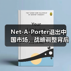 Net-A-Porter退出中国市场，战略调整背后的真相（图3）
