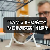TEAM x RHC 第二个联名系列来袭！创意单品抢先看（图3）