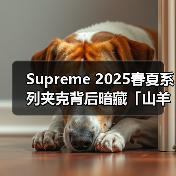 Supreme 2025春夏系列夹克背后暗藏「山羊」玄机?(图2) Supreme 2025春夏系列夹克背后暗藏「山羊」玄机?(图2)