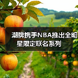 潮牌携手NBA推出全明星限定联名系列(图3) 潮牌携手NBA推出全明星限定联名系列(图3)