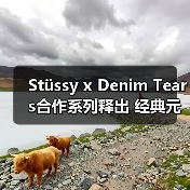 Stüssy x Denim Tears合作系列释出 经典元素碰撞学院风(图4) Stüssy x Denim Tears合作系列释出 经典元素碰撞学院风(图4)