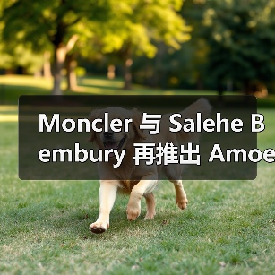Moncler 与 Salehe Bembury 再推出 Amoeba 合作跨包(图3) Moncler 与 Salehe Bembury 再推出 Amoeba 合作跨包(图3)