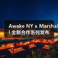 Awake NY x Marshall 全新合作系列发布（图4）