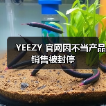 YEEZY 官网因不当产品销售被封停(图2) YEEZY 官网因不当产品销售被封停(图2)