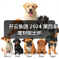 开云集团 2024 第四季度财报出炉（图1）