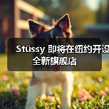 Stüssy 即将在纽约开设全新旗舰店(图3) Stüssy 即将在纽约开设全新旗舰店(图3)