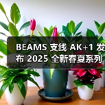 BEAMS 支线 AK+1 发布 2025 全新春夏系列（图3）
