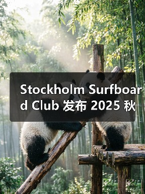 Stockholm Surfboard Club 发布 2025 秋冬系列(图4) Stockholm Surfboard Club 发布 2025 秋冬系列(图4)