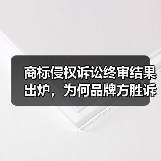 商标侵权诉讼终审结果出炉，为何品牌方胜诉？（图2）