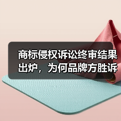 商标侵权诉讼终审结果出炉，为何品牌方胜诉？（图3）