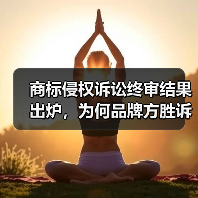 商标侵权诉讼终审结果出炉，为何品牌方胜诉？（图1）
