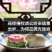 商标侵权诉讼终审结果出炉，为何品牌方胜诉？（图4）