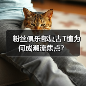 粉丝俱乐部复古T恤为何成潮流焦点?(图2) 粉丝俱乐部复古T恤为何成潮流焦点?(图2)