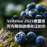 Veilance 2025春夏系列有哪些值得关注的创新设计?(图2) Veilance 2025春夏系列有哪些值得关注的创新设计?(图2)