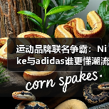 运动品牌联名争霸:Nike与adidas谁更懂潮流密码?(图2) 运动品牌联名争霸:Nike与adidas谁更懂潮流密码?(图2)