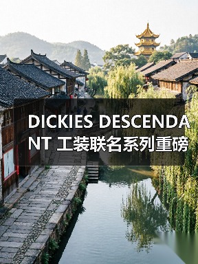 DICKIES DESCENDANT 工装联名系列重磅登场(图4) DICKIES DESCENDANT 工装联名系列重磅登场(图4)