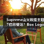 Supreme山火救援主题T恤将登场?Box Logo设计引关注(图4) Supreme山火救援主题T恤将登场?Box Logo设计引关注(图4)