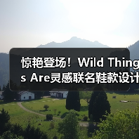 惊艳登场！Wild Things Are灵感联名鞋款设计（图1）
