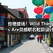 惊艳登场！Wild Things Are灵感联名鞋款设计（图2）