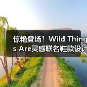 惊艳登场！Wild Things Are灵感联名鞋款设计（图4）