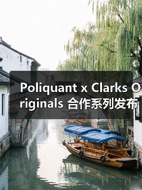 Poliquant x Clarks Originals 合作系列发布:沉积岩灵感如何重塑经典鞋款?(图4) Poliquant x Clarks Originals 合作系列发布:沉积岩灵感如何重塑经典鞋款?(图4)