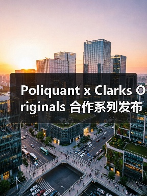 Poliquant x Clarks Originals 合作系列发布:沉积岩灵感如何重塑经典鞋款?(图3) Poliquant x Clarks Originals 合作系列发布:沉积岩灵感如何重塑经典鞋款?(图3)