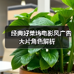 经典好莱坞电影风广告大片角色解析(图2) 经典好莱坞电影风广告大片角色解析(图2)